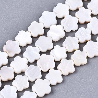 Natural Freshwater Shell Beads Strands SHEL-S276-111-1