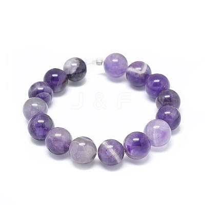 Natural Amethyst Beads Strands G-G791-11-B04-1