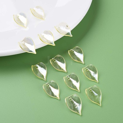 Transparent Acrylic Beads MACR-S373-103-C-1