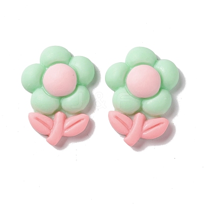 Spray Painted Resin Cabochons RESI-G031-15-1