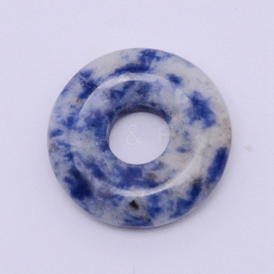 Natural Sodalite Pendants G-WH0007-10P-1