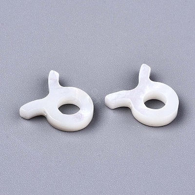 Natural White Shell Beads X-SSHEL-ZX004-02H-1