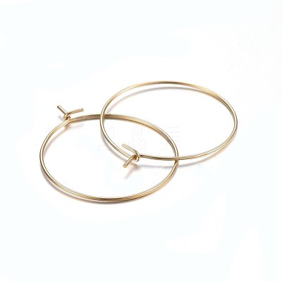 316 Surgical Stainless Steel Hoop Earrings X-STAS-P210-26G-02-1