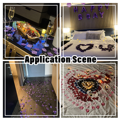 100G Satin Artificial Rose Petals DIY-SP0005-68D-1