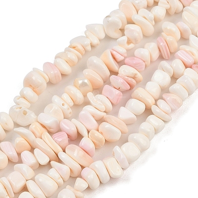 Natural Pink Shell Beads Strands X-SSHEL-L016-19-1