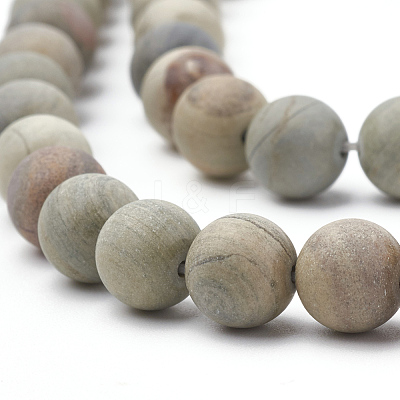 Natural Silver Leaf Jasper Beads Strands G-T106-234-1