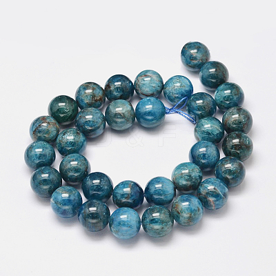 Natural Apatite Beads Strands G-F617-01-10mm-1