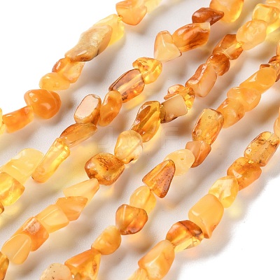 Natural Amber Beads Strands G-P497-01C-04-1