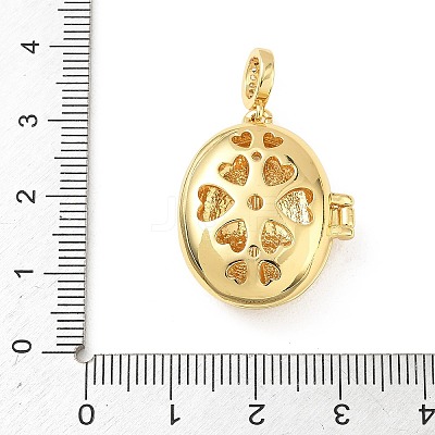Brass Enamel Photo Locket Pendants KK-A303-19D-G-1