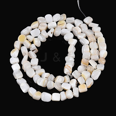 Natural Freshwater Shell Beads Strands SHEL-N038-06A-1