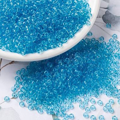 MIYUKI Round Rocailles Beads X-SEED-G008-RR0148-1
