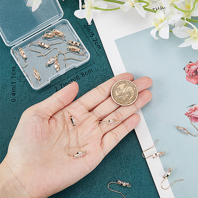 20Pcs Brass Earring Hooks KK-BBC0010-88-1