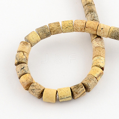 Natural Picture Jasper Stone Bead Strands G-R187-12-1