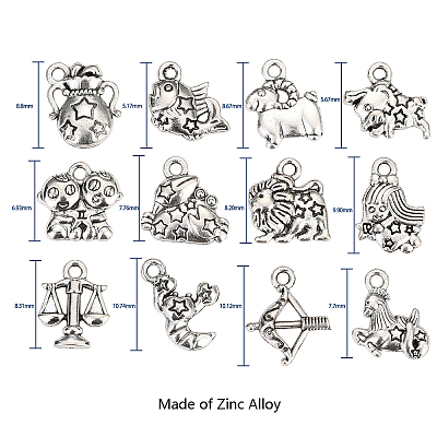 Zinc Alloy Charms PALLOY-CJ0001-100-1