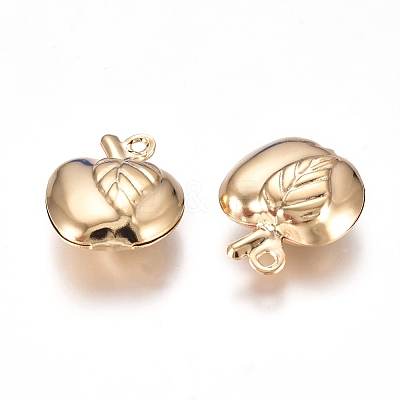 304 Stainless Steel Hollow Charms LS-STAS-I138-17G-1