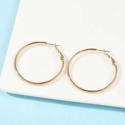 201 Stainless Steel Hoop Earrings EJEW-F188-24G-B-1