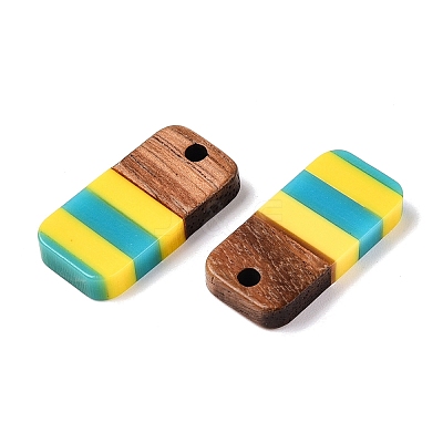 Epoxy Resin & Walnut Wood Pendants RESI-N039-121C-1