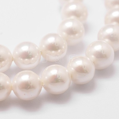 Rainbow Plated Shell Pearl Bead Strands X-BSHE-L025-02-6mm-1
