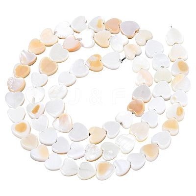 4 Strands Natural Freshwater Shell Beads Strands SHEL-PA0001-06-1