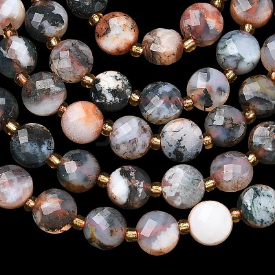 Natural Red Tree Agate Beads Strands G-K389-B89-01-1