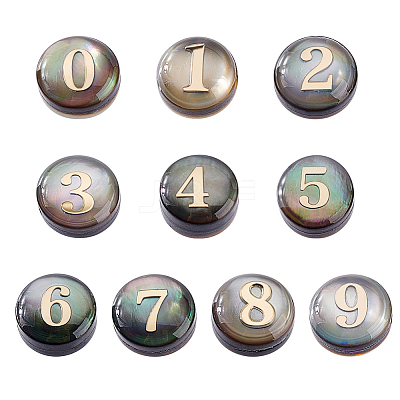 10Pcs 10 Styles Natural Black Lip Shell Flat Round Beads BSHE-PH0001-61-1