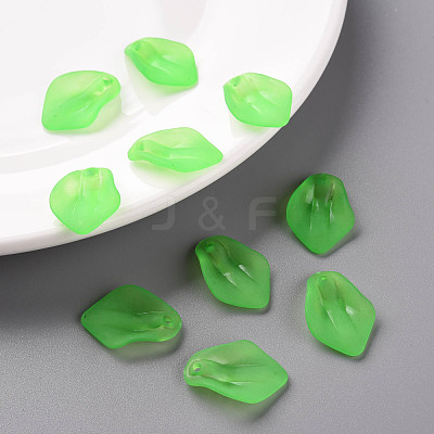 Transparent Frosted Acrylic Pendants MACR-S371-03A-734-1