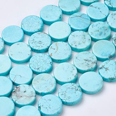 Natural Magnesite Beads Strands TURQ-K003-16-1