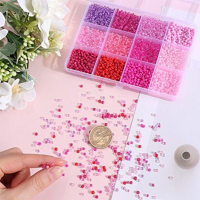 156g 12 Style Glass Seed Beads SEED-SC0001-32B-06-1