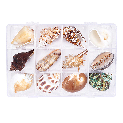 Natural Shell Home Display Decoration Sets SSHEL-T016-13-1