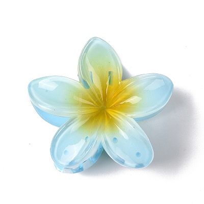 Plastic Claw Hair Clips LS-OHAR-P020-08A-1