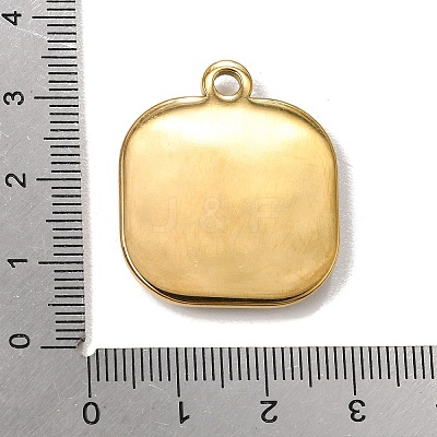 304 Stainless Steel & Natural Paua Shell Pendants SH-CBA7184-01B-G-1