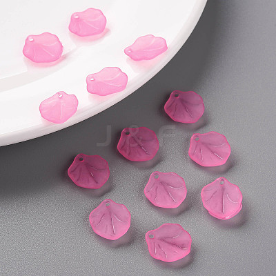 Transparent Frosted Acrylic Pendants MACR-S371-02A-704-1