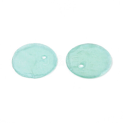 Spray Painted Natural Capiz Shell Disc Charms BSHE-T014-02D-1
