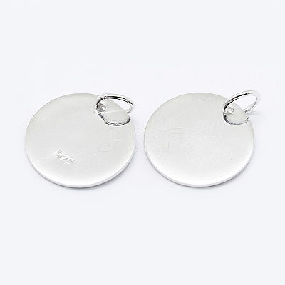 925 Sterling Silver Pendants STER-K167-006C-S-1