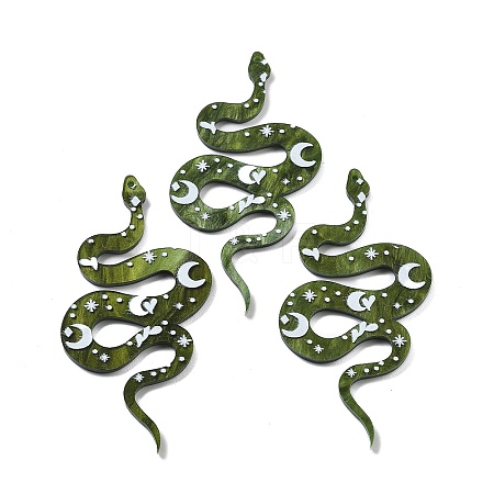 Western Style Acrylic Big Pendants OACR-I002-01-1