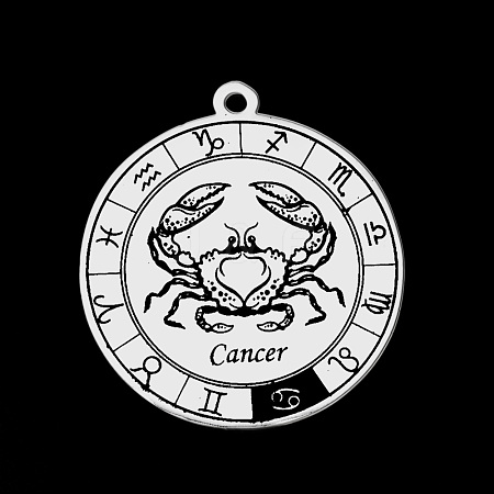Non-Tarnish 201 Stainless Steel Pendants STAS-T056-LA720-4-1