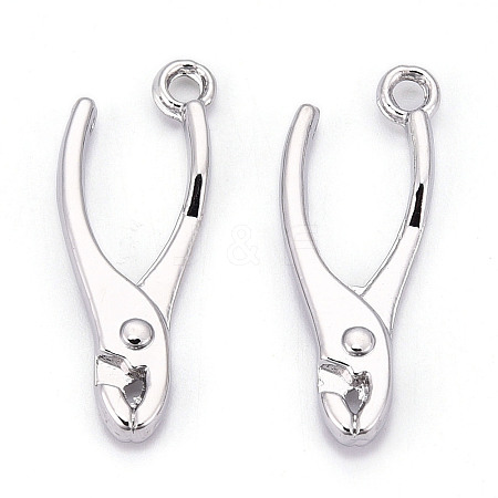 Alloy Pendants X1-PALLOY-N176-120P-1