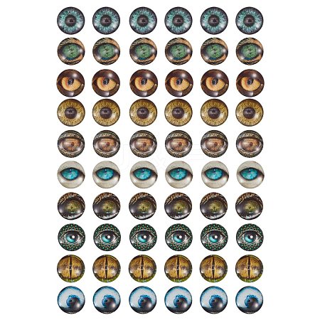 Glass Cabochons GLAA-SZ0001-06-1