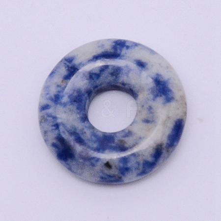Natural Sodalite Pendants G-WH0007-10P-1