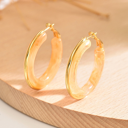 201 Stainless Steel Acrylic Hoop Earrings for Women IG1029-2-1