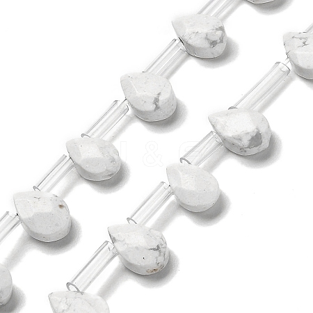 Natural Howlite Beads Strands G-Q167-A19-02-1