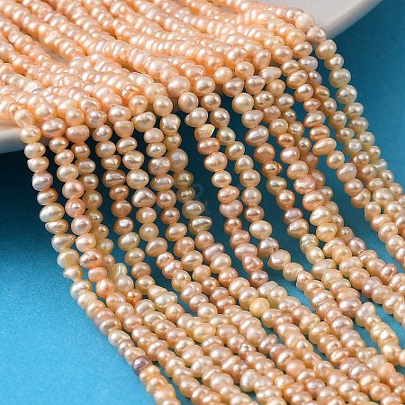 Natural Cultured Freshwater Pearl Beads Strands PEAR-L034-13B-1