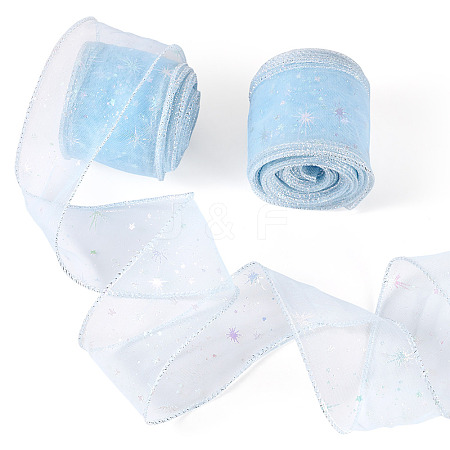 Polyester Deco Mesh Ribbons OCOR-TAC0024-004A-1