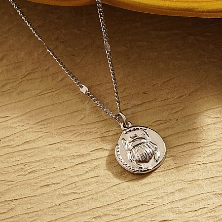 Stainless Steel Pendant Necklaces ZQ6019-2-1