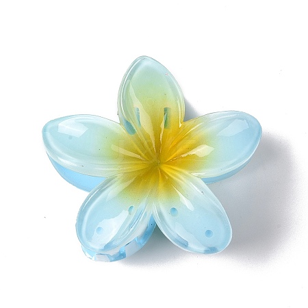 Plastic Claw Hair Clips LS-OHAR-P020-08A-1